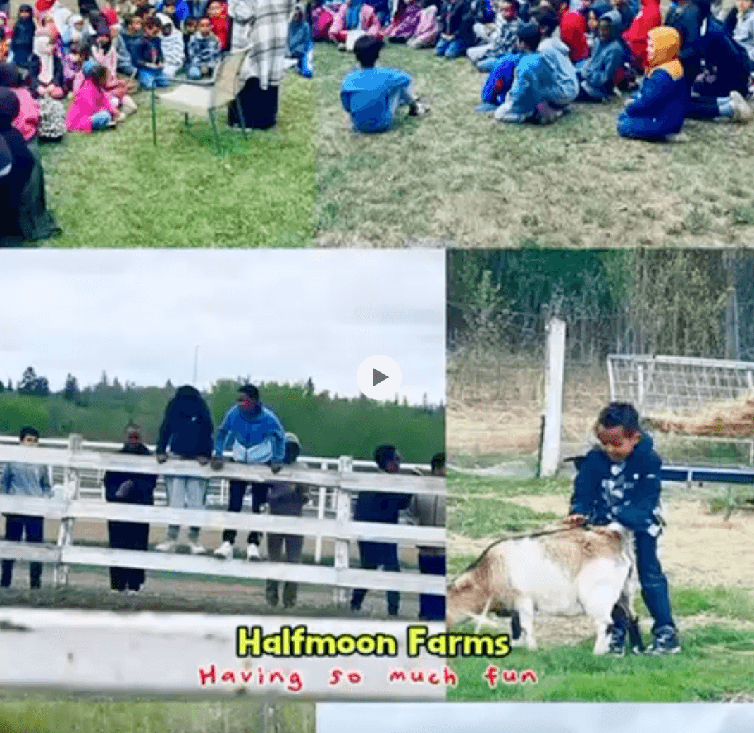 Thumbnail for School Trip to Half Moon Farm video